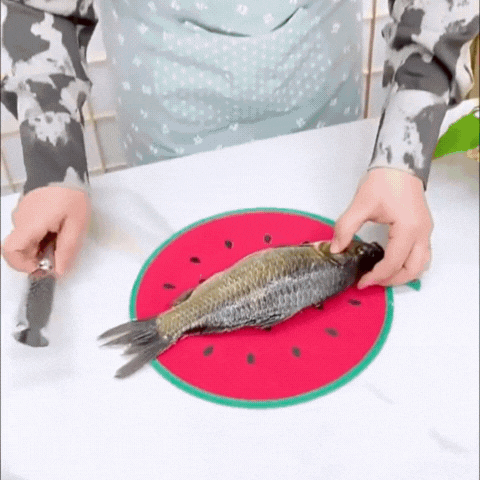 Stainless Steel Fish Scaler Remover