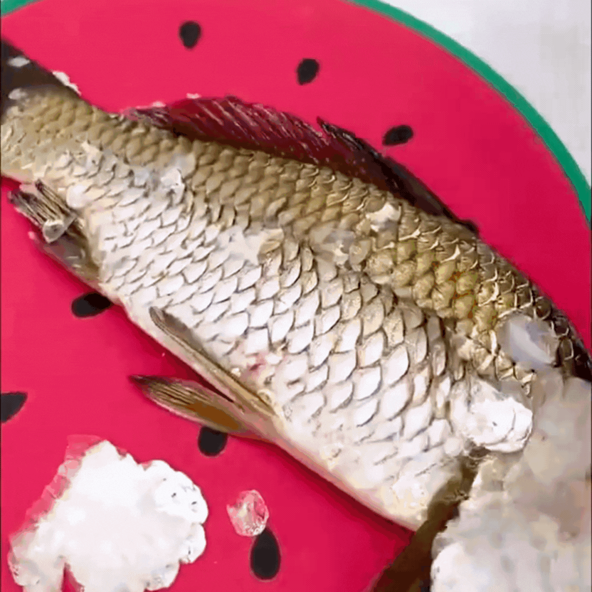 Stainless Steel Fish Scaler Remover