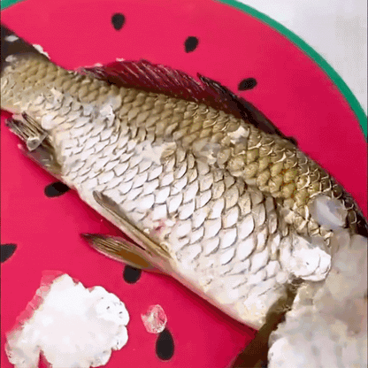 Stainless Steel Fish Scaler Remover